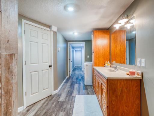 Lower level bathroom with storage to the left