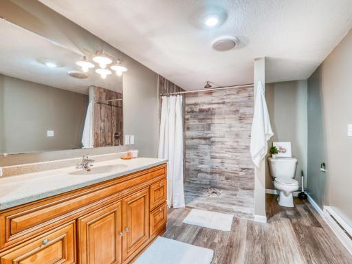 Lower Level Bath with large walk in tile shower
