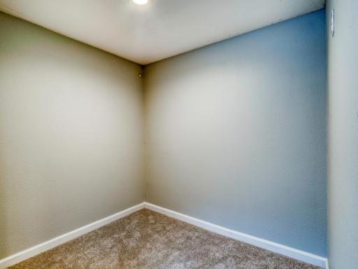 Large walk-in closet in 2nd lower level