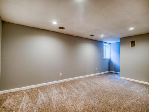 Lower level 2nd bedroom