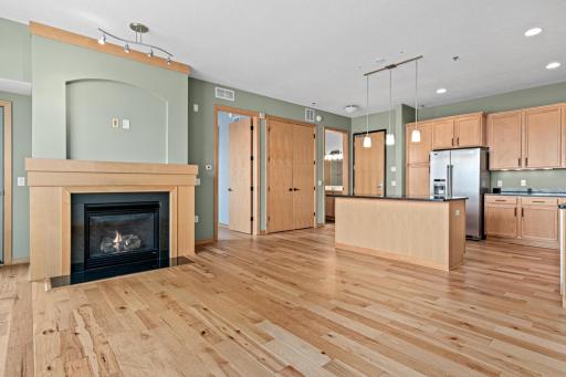 240 Spring Street, 226, Saint Paul, MN 55102