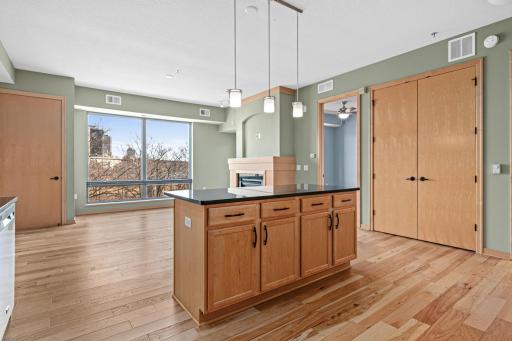 240 Spring Street, 226, Saint Paul, MN 55102