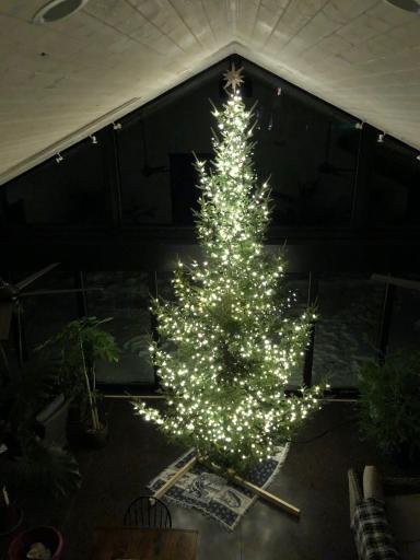 Look at the space available in the conservatory