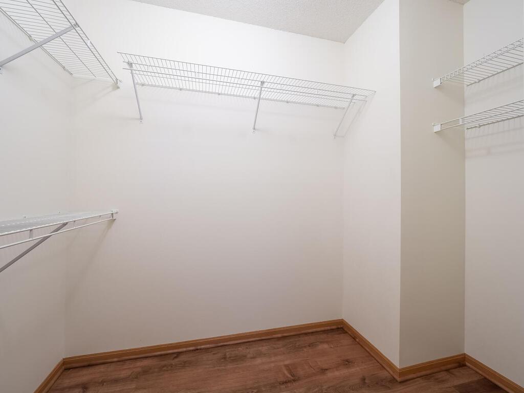 Primary walk-in closet