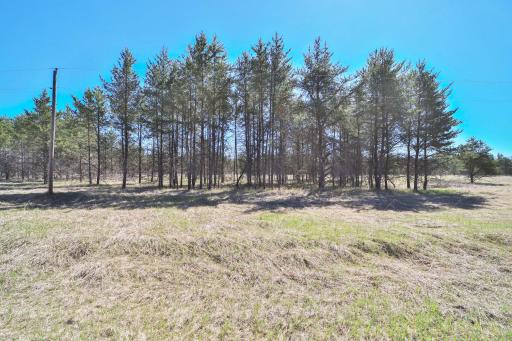 27125 132nd Street, Staples, MN 56479
