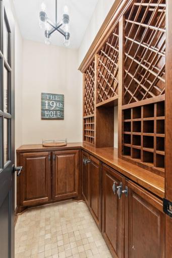Elegant wine room for storage and display