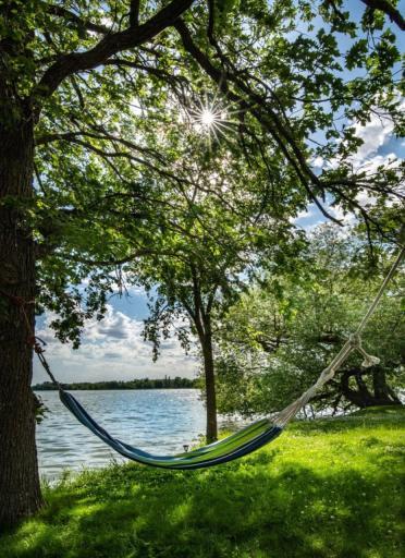 124 Park Street, Erskine, MN 56535