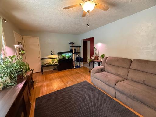 1838 Forest Street, Hastings, MN 55033