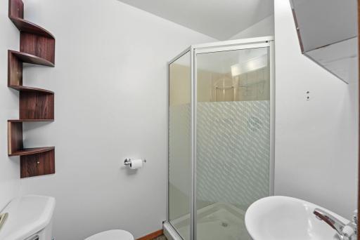 Bathroom Lower Level