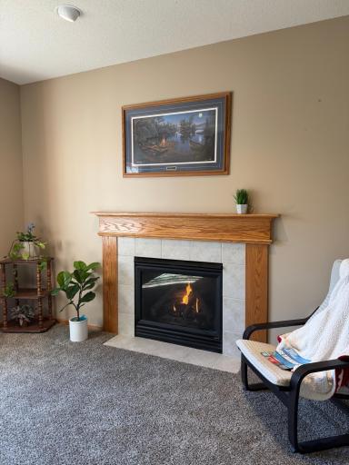 Den w/gas fireplace