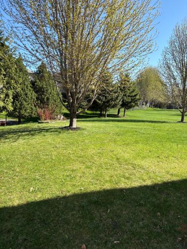 Huge Private Back Yard