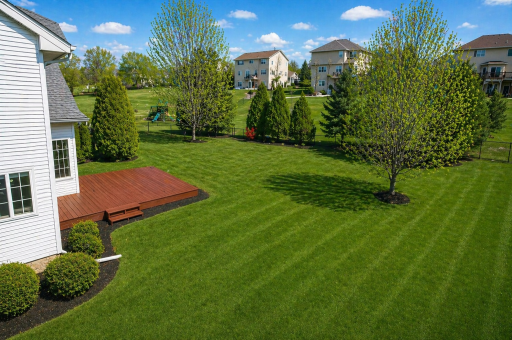 2081 Silver HUGE private yard! AI enhanced image