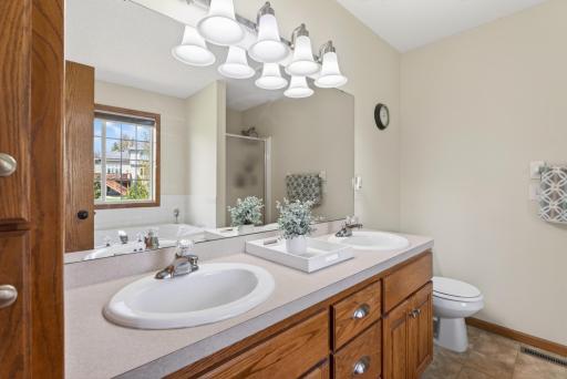 2081 Silver Street, Waconia, MN 55387