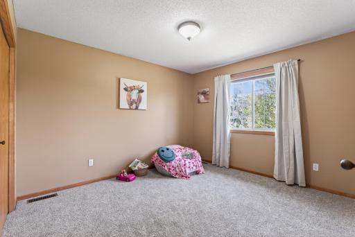 2081 Silver Street, Waconia, MN 55387