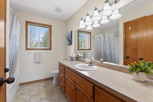 2081 Silver Street, Waconia, MN 55387