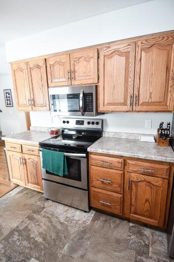 16299 160th Street NE, Thief River Falls, MN 56701