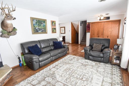 16299 160th Street NE, Thief River Falls, MN 56701