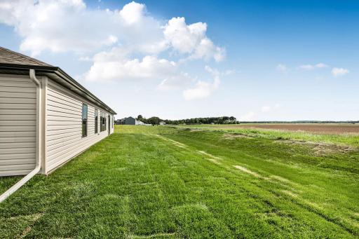 Large completely sodded yard