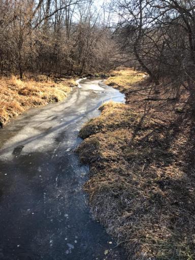 Creek runs through the property