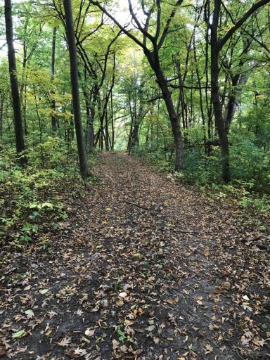Winding trails throughout the 64 acres to enjoy walks