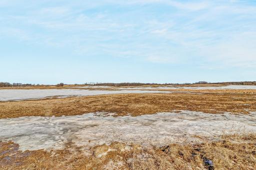 TBD 430th St, Pelican Rapids, MN 56572