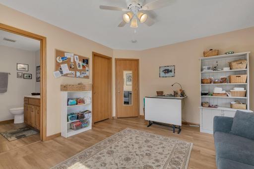 Primary bedroom with walk in closet