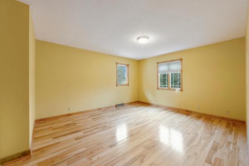 14159 Goodhue Street NE, Ham Lake, MN 55304