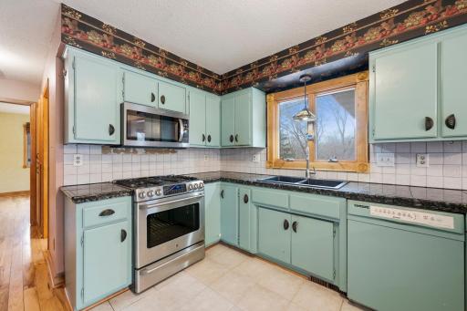 14159 Goodhue Street NE, Ham Lake, MN 55304