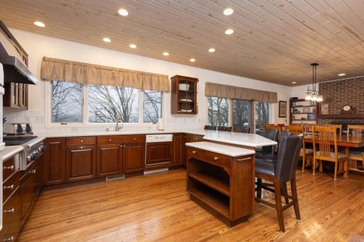 40861 Acorn Drive, Dent, MN 56528