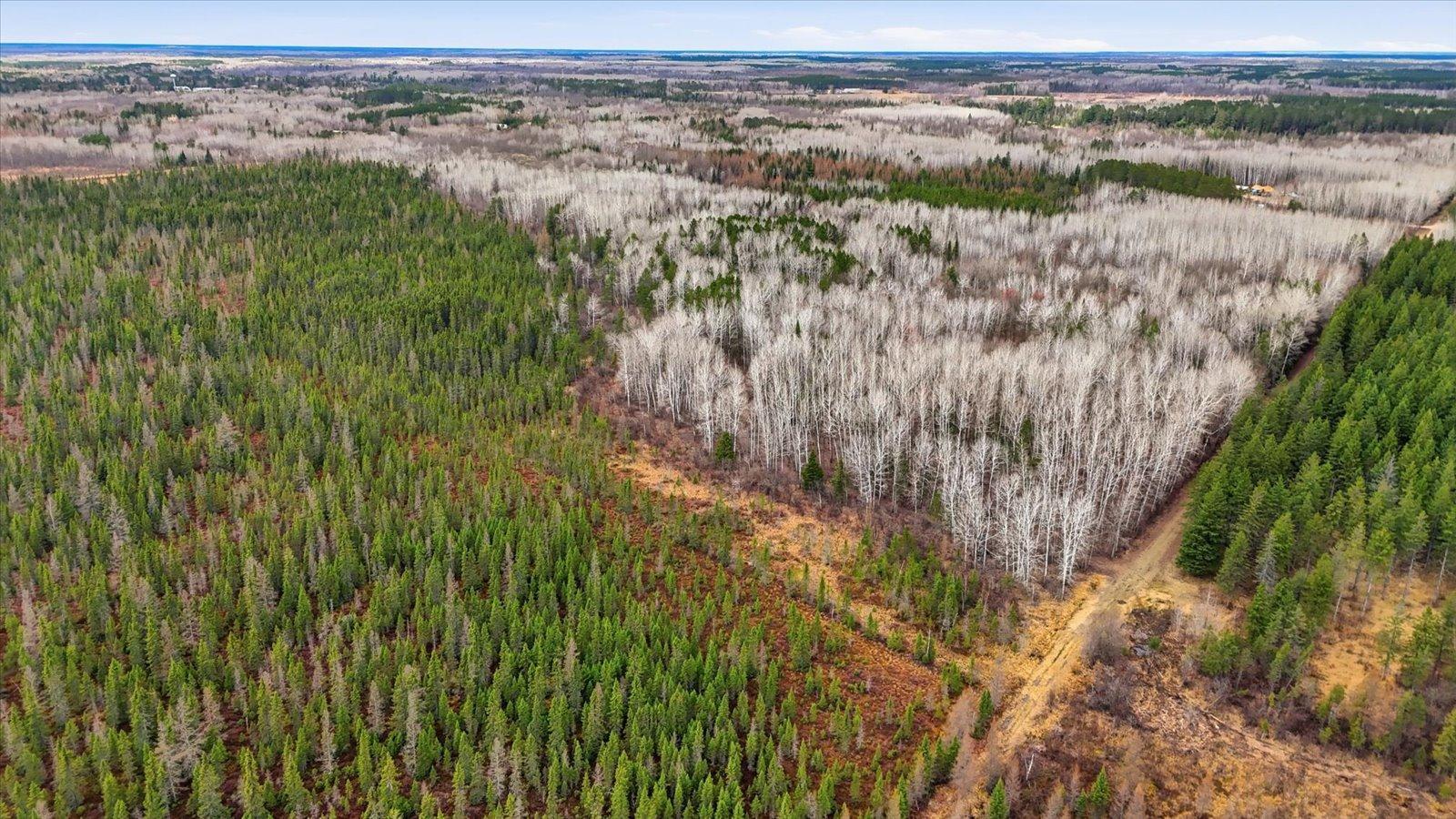 08-DJI_20260428142139_0281_D.jpg