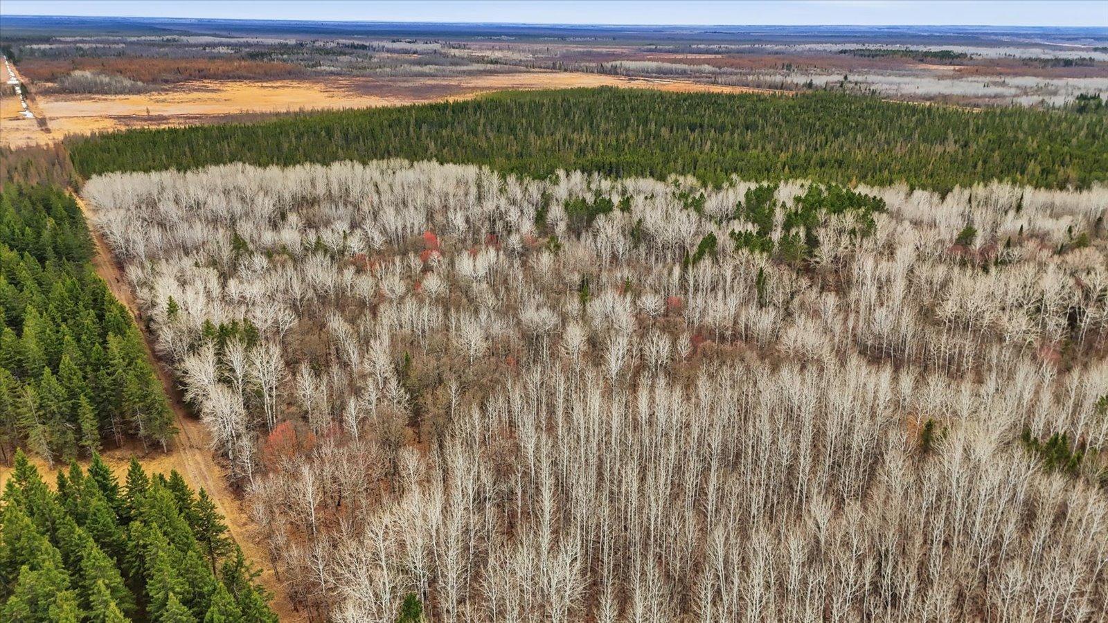 12-DJI_20260428144236_0344_D.jpg