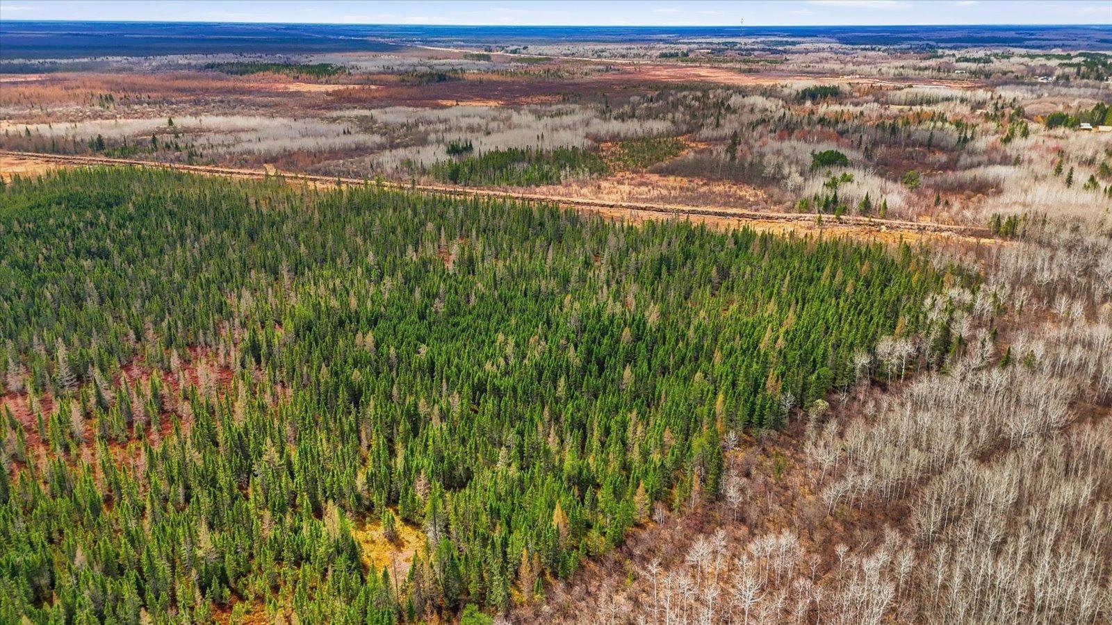 07-DJI_20260428142755_0287_D.jpg