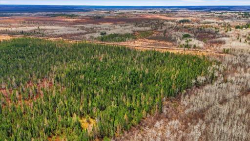 07-DJI_20260428142755_0287_D.jpg