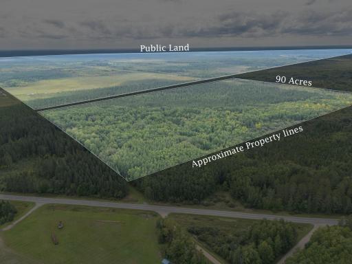 Photo for TBD Town Road #55, Big Falls, MN 56627 - listing #7032979 TBD Town Road #55, Big Falls, MN 56627