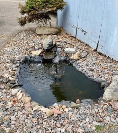 Fish Pond.jpg