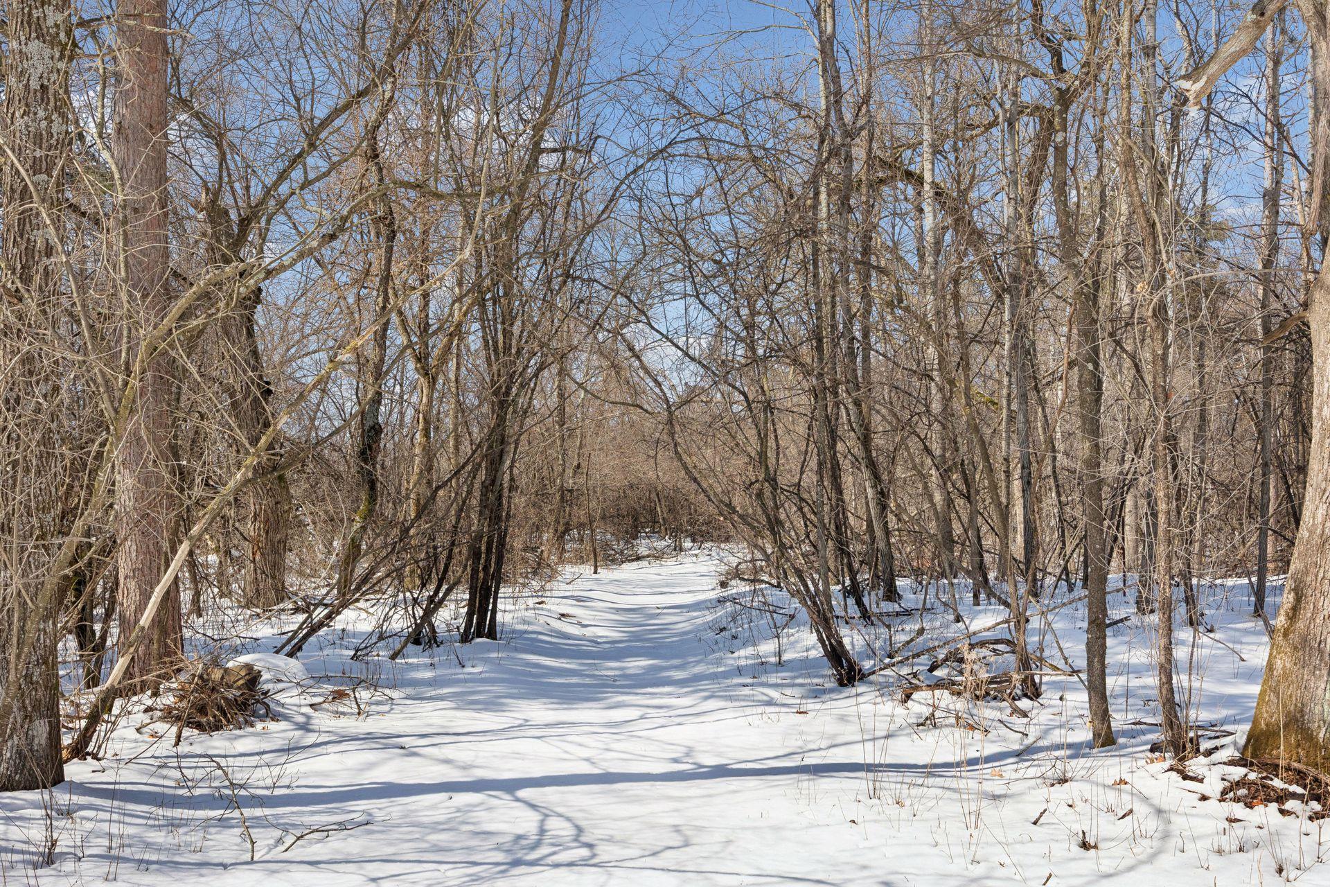 2810 Nybeck Avenue South - Spacecrafting - 0011.jpg