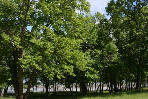 2156 Shady Lane, Detroit Lakes, MN 56501