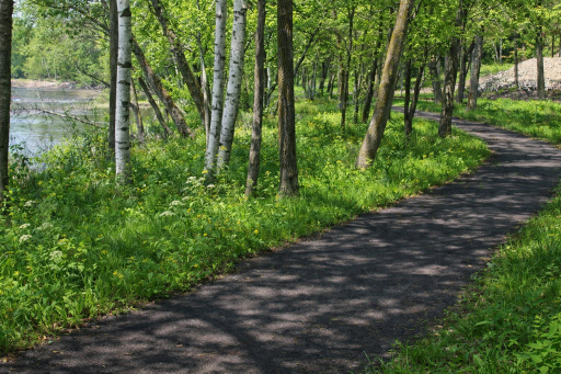 2156 Shady Lane, Detroit Lakes, MN 56501