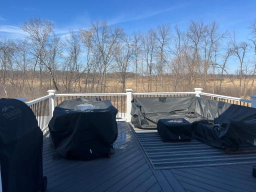 What a view! This Sanctuary Preserve home in Blaine is convenient to all of life's essentials while offering more privacy with this nature backdrop from the Low Maintenance deck.