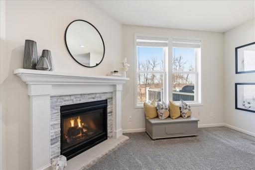 Close up of the Living area gas fireplace