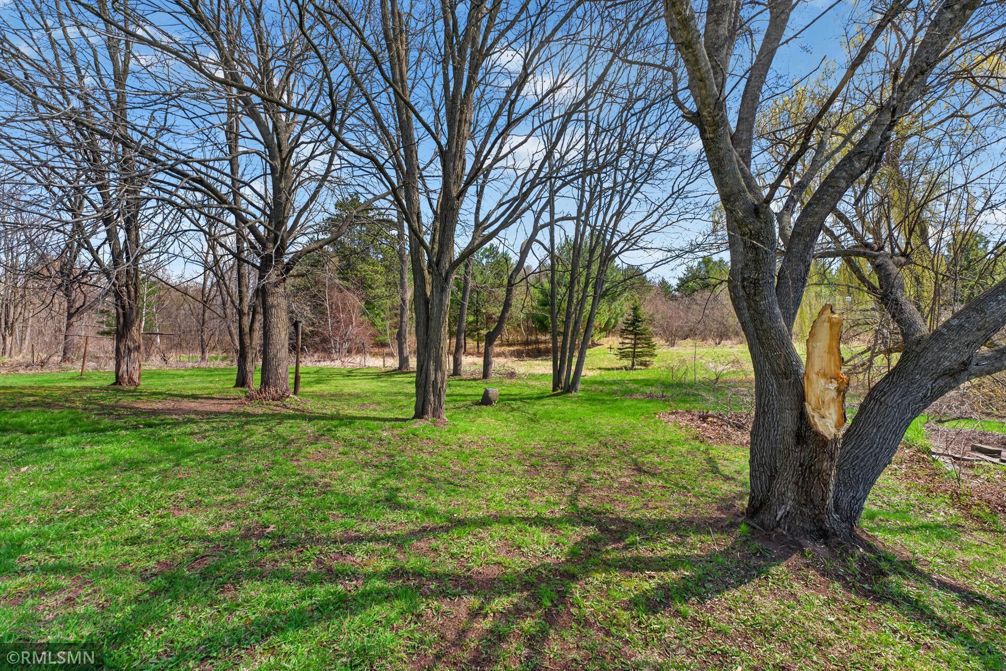 mature trees in yard