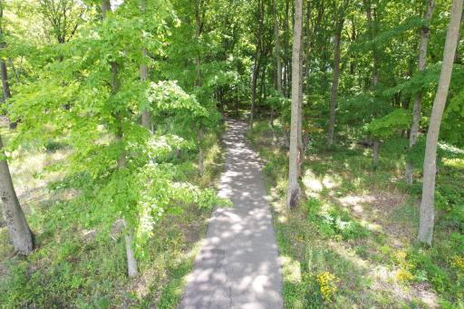 The Meadows 12 Miles of Blacktopped Trails