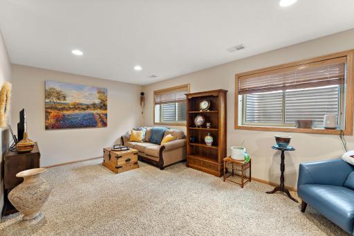 Lower level family room with 2 egress windows, which allows for ample natural light!
