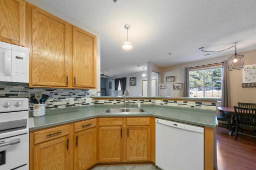 323 Frederick Circle, 701, Hastings, MN 55033