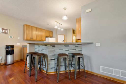 323 Frederick Circle, 701, Hastings, MN 55033