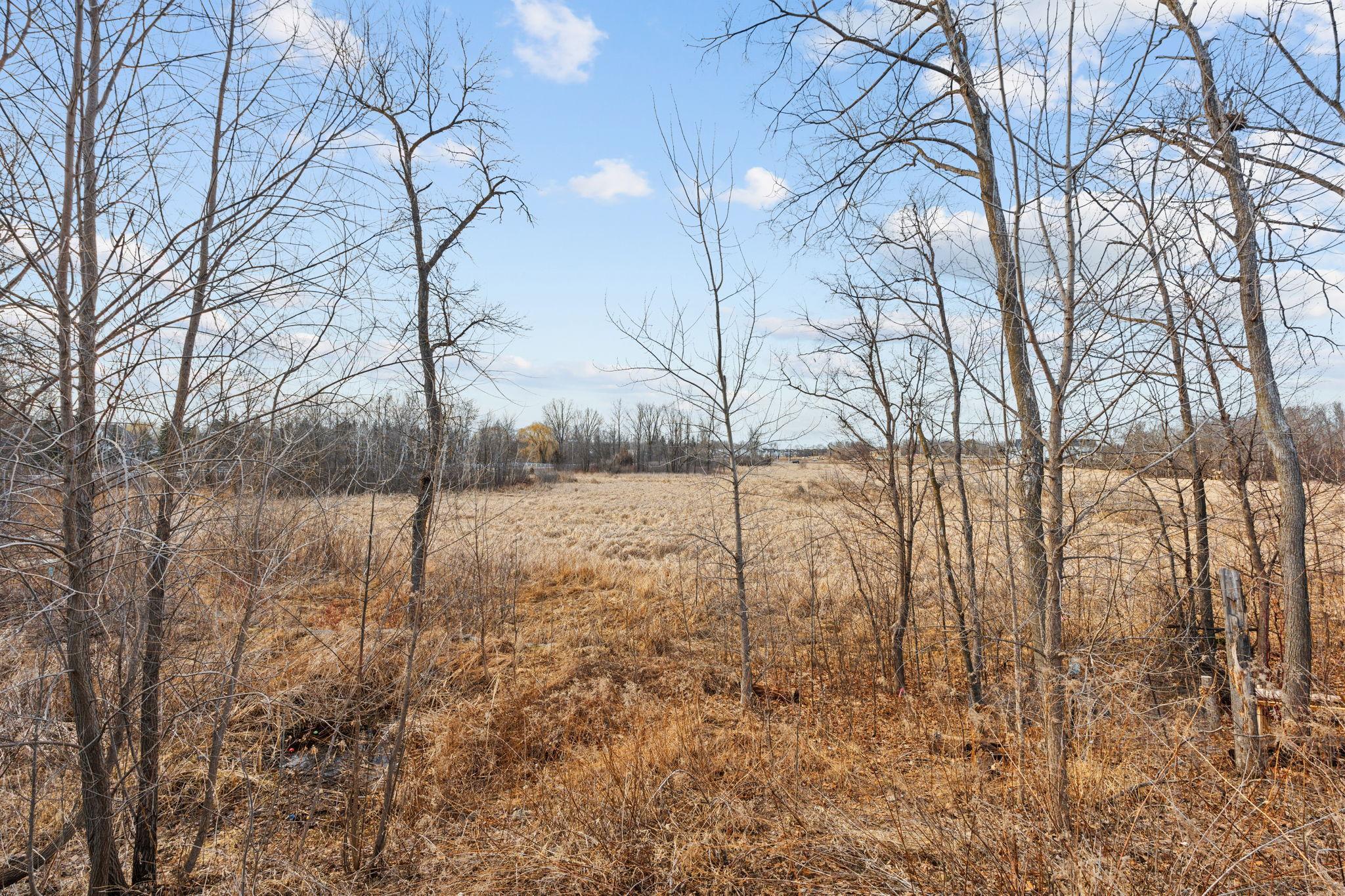 9-web-or-mls-769 Woodland Hill Ct-9.jpg