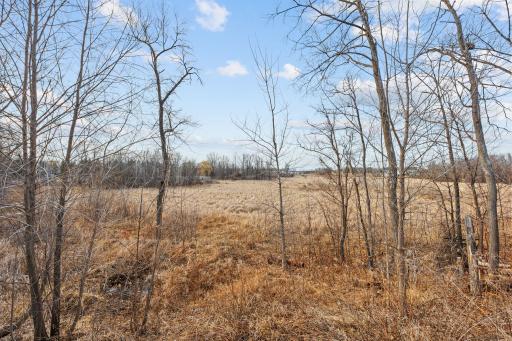 769 Woodland Hill Court, Medina, MN 55340