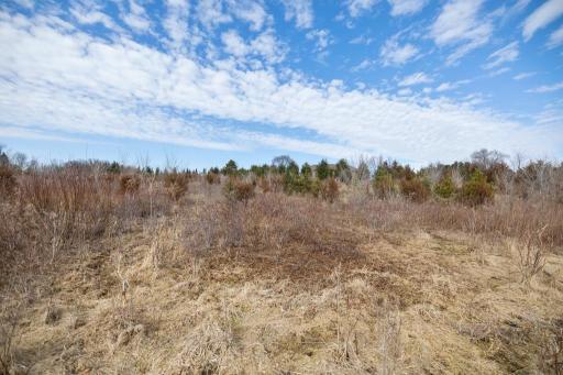 5131 Trading Post Trail S, Afton, MN 55001