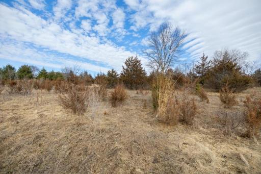 5131 Trading Post Trail S, Afton, MN 55001