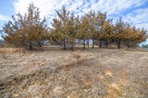 5131 Trading Post Trail S, Afton, MN 55001